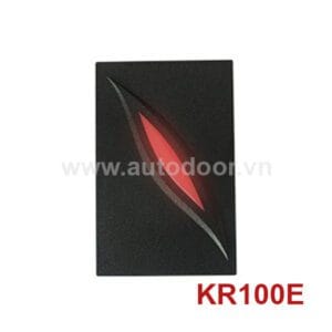 Đầu đọc phụ KR100